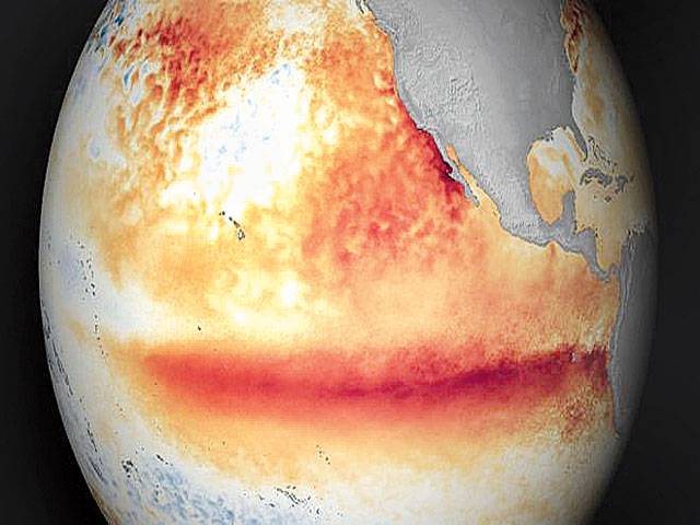 New El Nino event likely this winter 