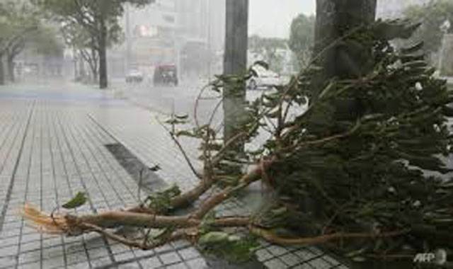 Dozens hurt as typhoon Trami hammers Japan
