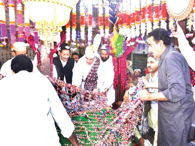 Qureshi underscores unity to fight challenges