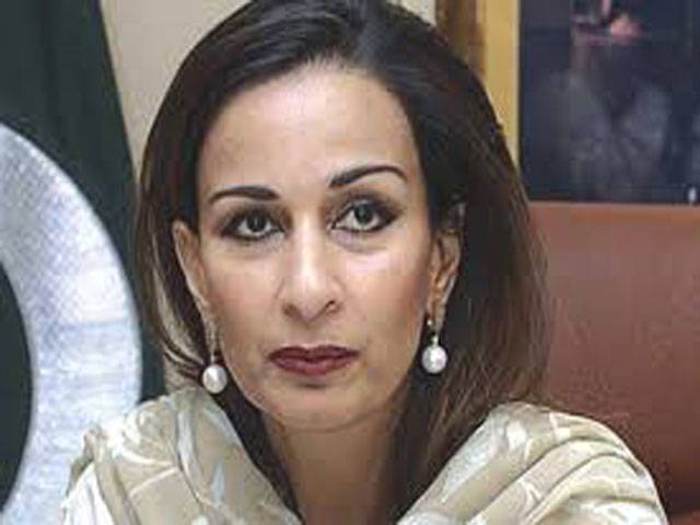 PPP seeks govt explanation on terms of Saudi loans