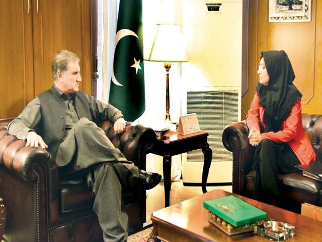 Pakistan making efforts to bring Aafia back: Qureshi