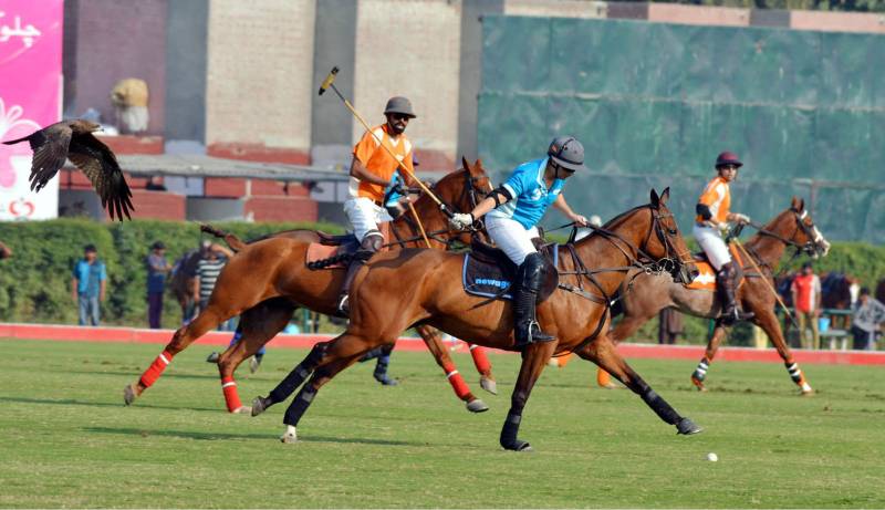 Newage/Diamond Paints book berth in Polo in Pink final