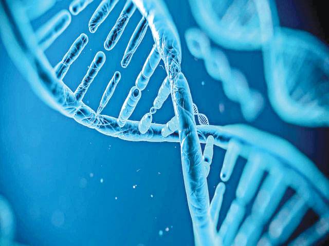 Scientists study genes misidentified as ‘non-protein coding’