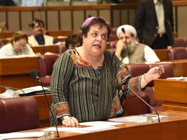 Shireen Mazari rejects WEF report on gender parity in Pakistan