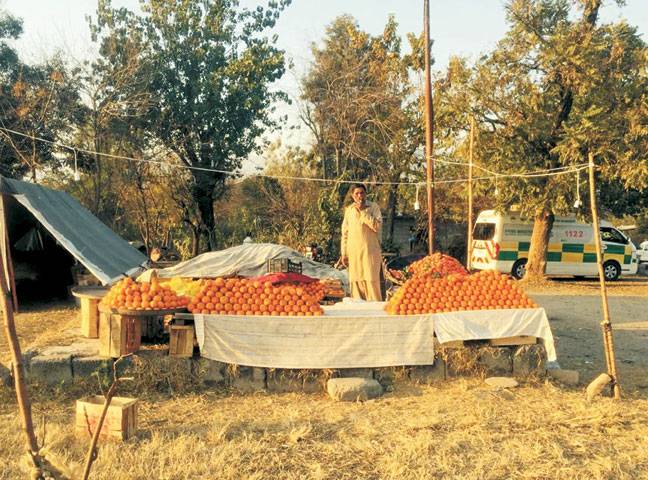 Seasonal fruits, a source of money-making for MCI officials
