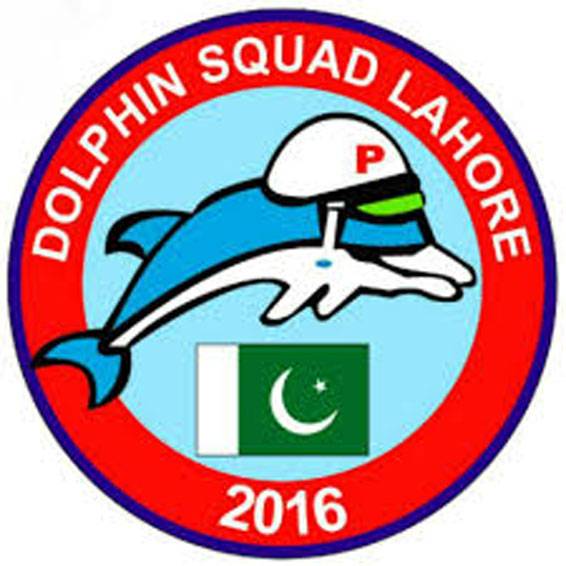 Dolphin searched 747,910 vehicles last year