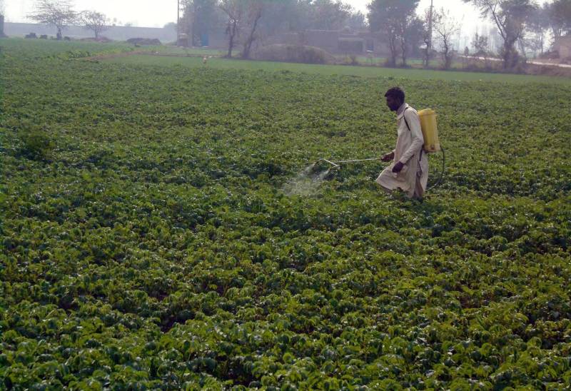 KP govt all set to launch ‘Fruits for All’ Programme 