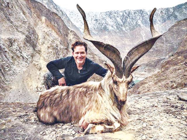 American hunts highest-rated Astore Markhor