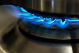 Four-member panel to probe overbilling of gas