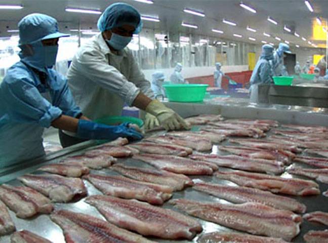 Pakistan earned $451m from fisheries products’ export in 2017-18