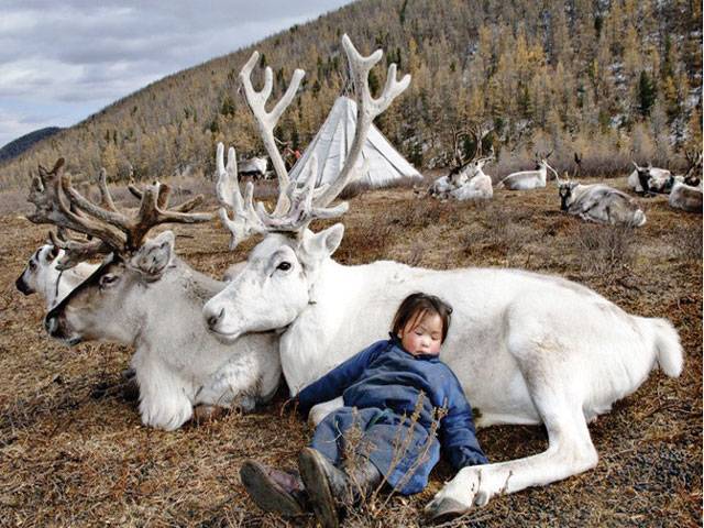 Turkey helps Turkic reindeer herders in Mongolia
