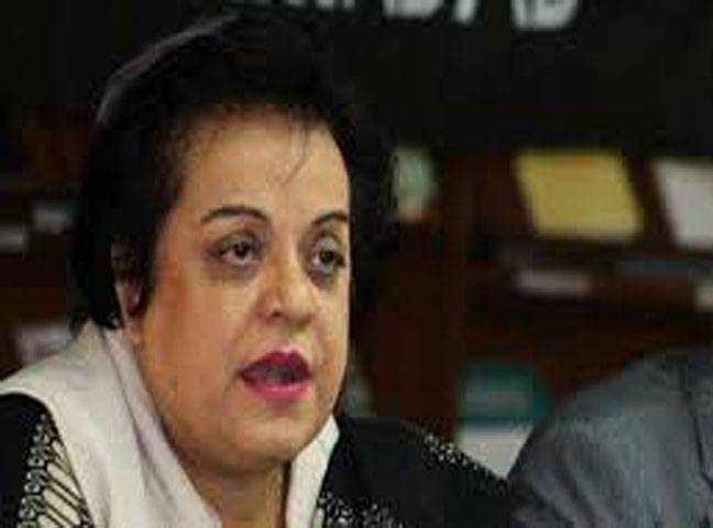 Government not mum over Shakirullah’s death, Senate told