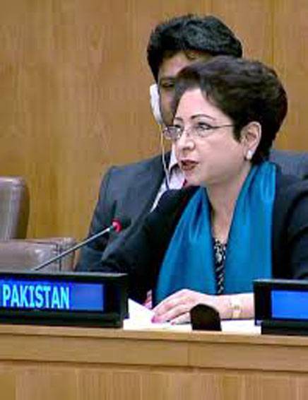 Pakistan warns against misuse of UN counter-terror regime