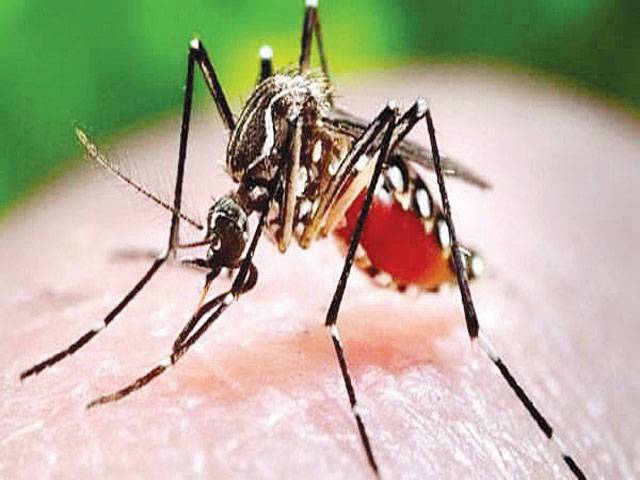 Malaria to be eradicated by 2030