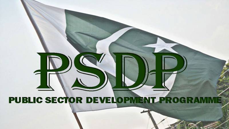 Senate body approves PSDP proposals of finance, revenue divisions