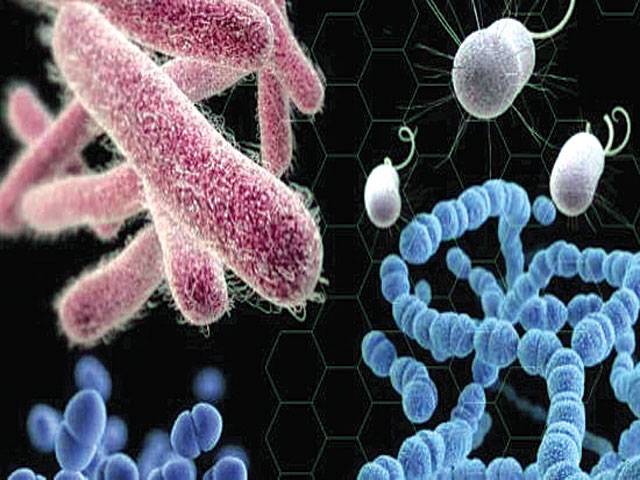 Chinese experts warn against threat of antibiotic resistance