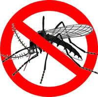 NIH cautions against dengue, other endemic diseases