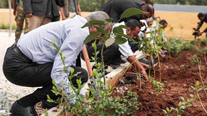 Ethiopia plants 350m trees in a day to help tackle climate crisis