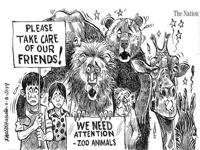 PLEASE TAKE CARE OF OUR FRIENDS! WE NEED ATTENTION-ZOO ANIMALS