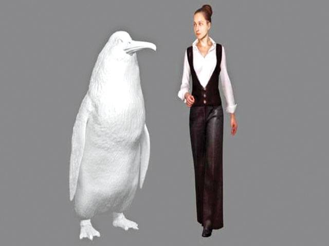 ‘Human-sized penguin’ lived in New Zealand