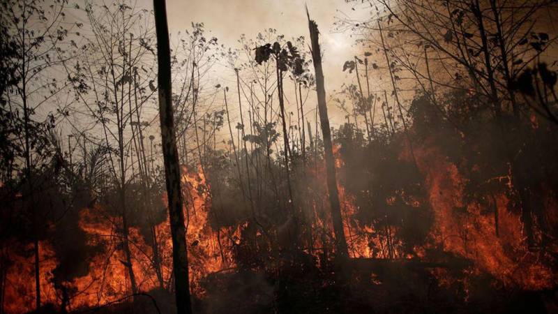 Amazon fires: Brazil to reject G7 offer of $22m aid