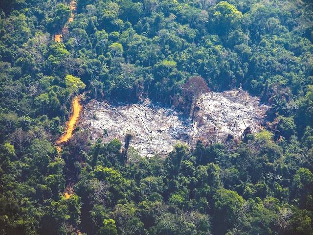 Brazil bans land clearance blazes for 60 days