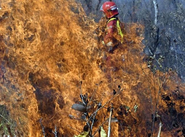 Bolivia has lost 1.7m hectares to fire: government