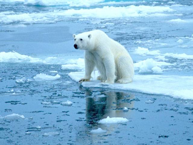 Scientists warn more severe global warming by 2100