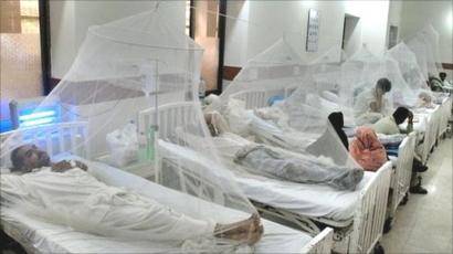 Over 1,500 people hospitalised with dengue in Karachi this month