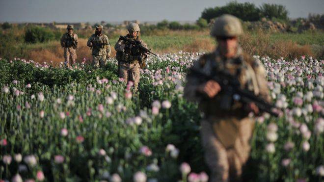 UN says deadly US strikes on Afghan drug labs ‘unlawful’