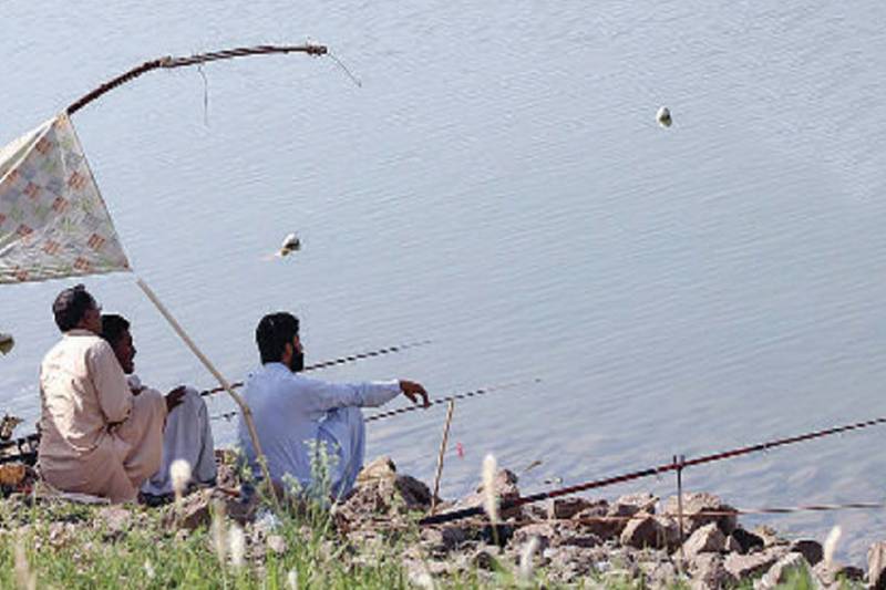 Rawal Lake’s lucrative fish makes it mafia’s warfare