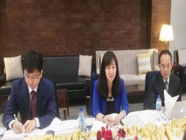 Pakistani, Chinese experts discuss bilateral, regional issues