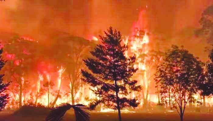 Australian state declares bushfire emergency