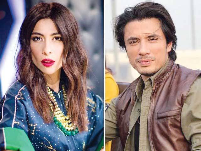 No show from Meesha Shafi’s witnesses in court
