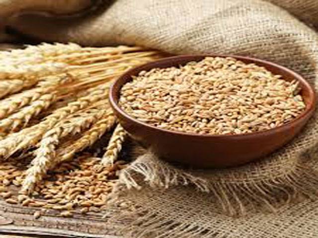 Govt decides to import 0.3m tonnes of wheat 