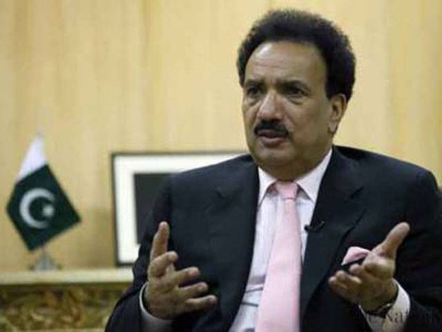 Rehman Malik urges govt to move ICJ, ICC against Modi