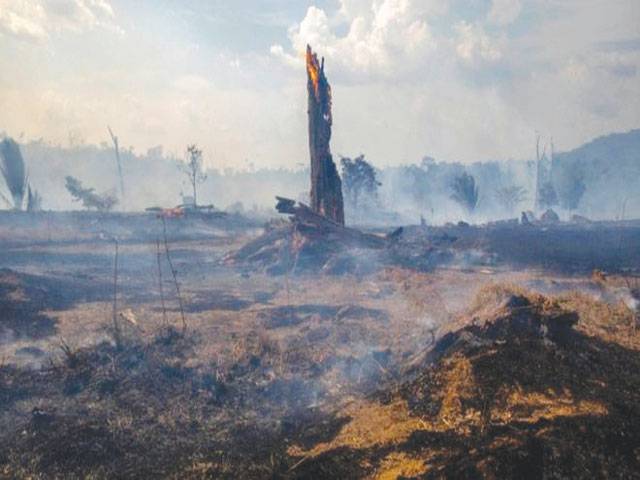 Deforested parts of Amazon ‘emitting more CO2 than they absorb’