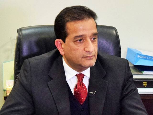 E-vehicle sector being promoted to tackle effects of climate change: Malik Amin