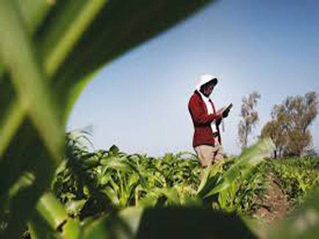 Bayer, XAG collaborate to bring digital farming technology to smallholder farmers