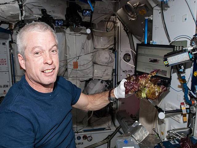 Astronauts grew a type of romaine lettuce on the Space
