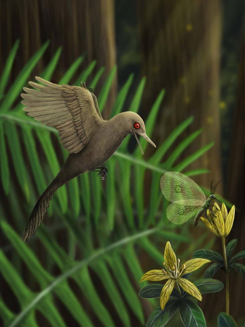 The world’s smallest dinosaur is discovered after 99m years!