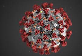 China, US spar over origin of coronavirus