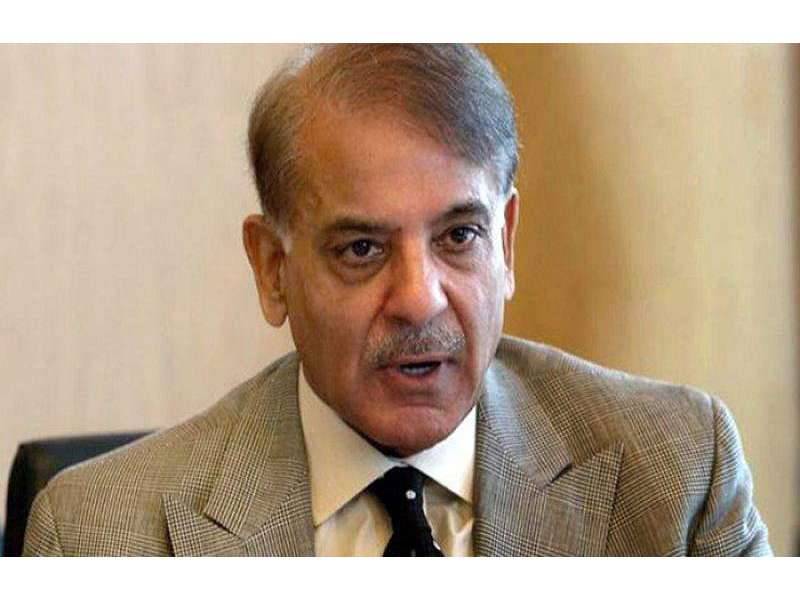 Shehbaz recommends use of marriage halls, schools, colleges and mosques as isolation centres