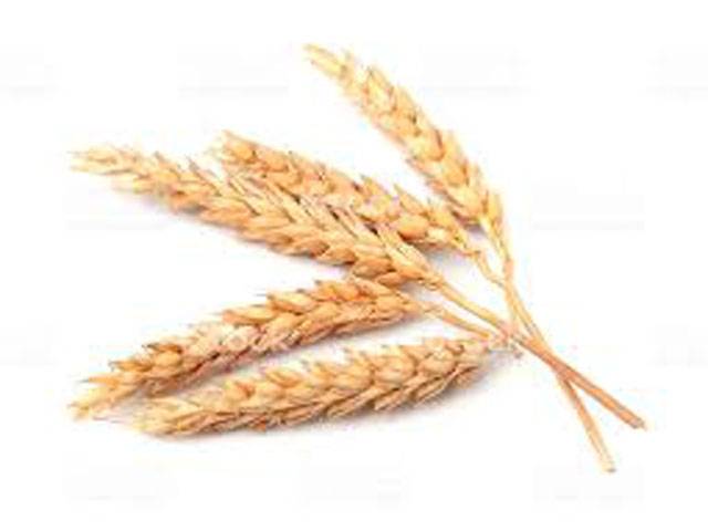 0.980 MT wheat stock available in country for local consumption