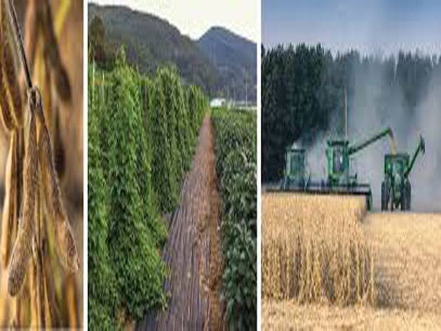NA body for timely fixing support prices of major crops