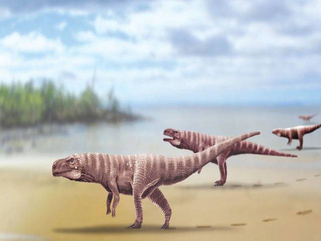 Paleontologist trackers discover crocodile that walked on two legs