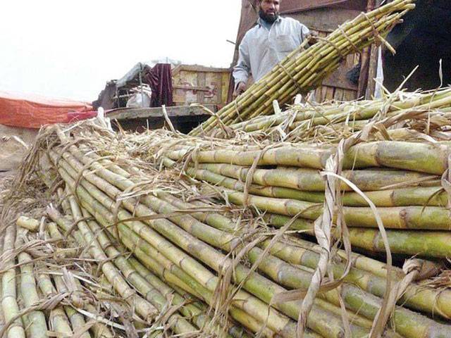 IHC to take up sugarcane farmers’ petition today