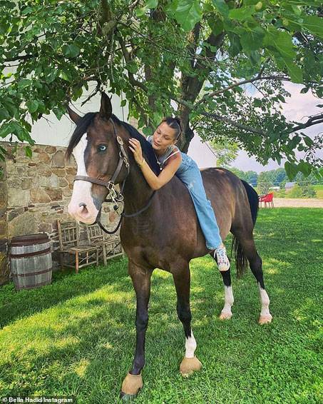 Bella Hadid shares video of herself riding ‘fearless’ horse