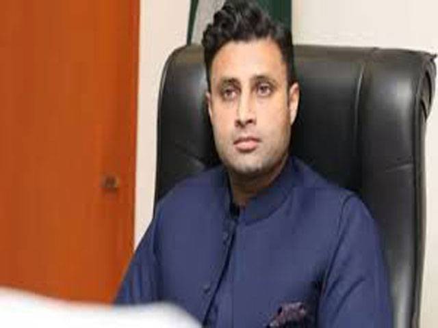PM’s remarks on dual nationality quoted out of context: Zulfi