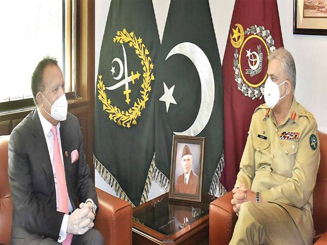 Senator Rehman Malik calls on COAS Gen Qamar Javed Bajwa
